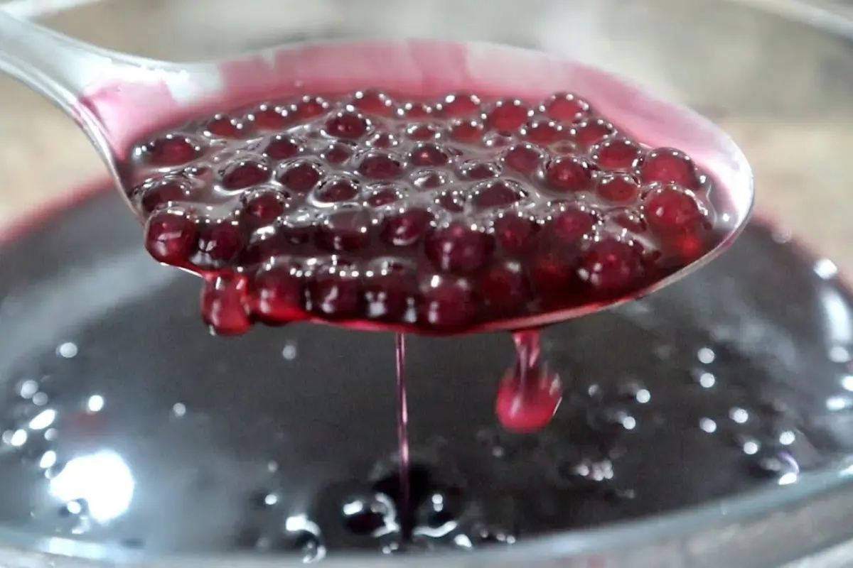 Sagu de Vinho sem Álcool: Uma Sobremesa Deliciosa e Saudável